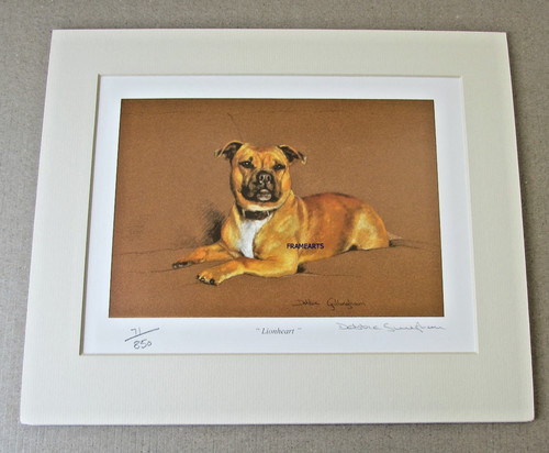Staffordshire bull terrier - bull, ltd