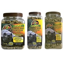 Zoomed grassland tortoise food - tortoise,