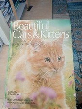 Beautiful cats & kittens: The