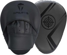 Focus Pads Hook Jab Mitts