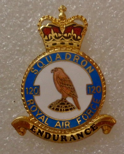 Danbury mint raf - royal, air
