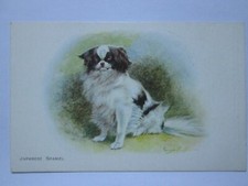 A Japanese Spaniel Vintage Dog Postcard B23