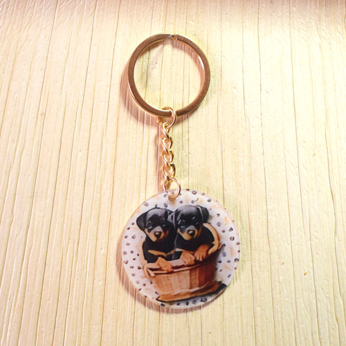 Dachshund puppies keyring 2d - keyring,