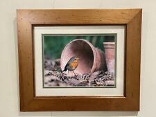 Framed photograph of a robin