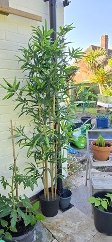 Large 6ft artificial - 6ft.,