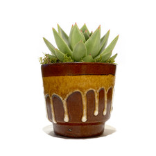 West German Pottery Planter-
