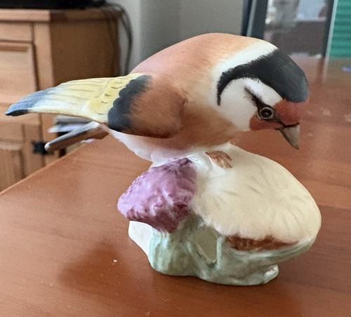 Royal worcester goldfinch - worcester, bone