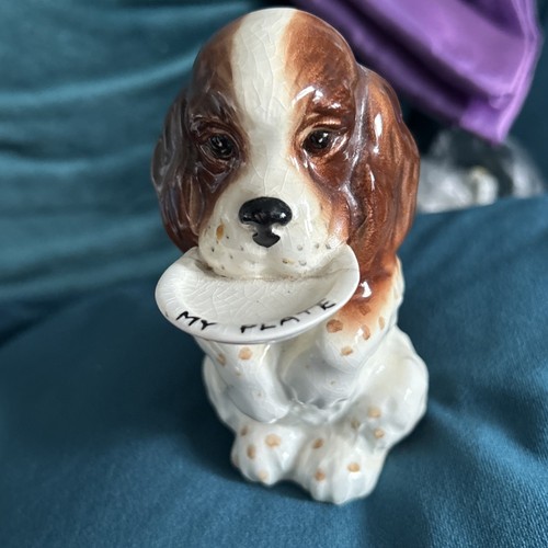 Cute beswick spaniel - cute,