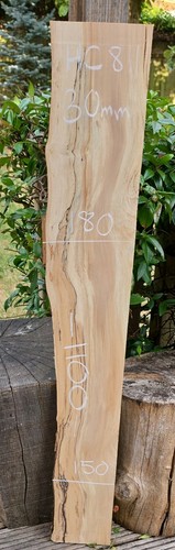 Spalted chestnut live edge - live,