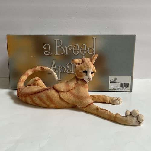 Breed apart orange tabby - breed,
