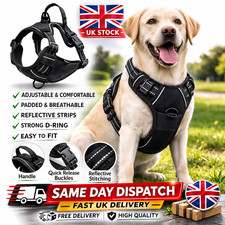 rabbitgoo No-Pull Pet Dog