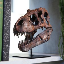 Tyrannosaurus Rex Skull Hand