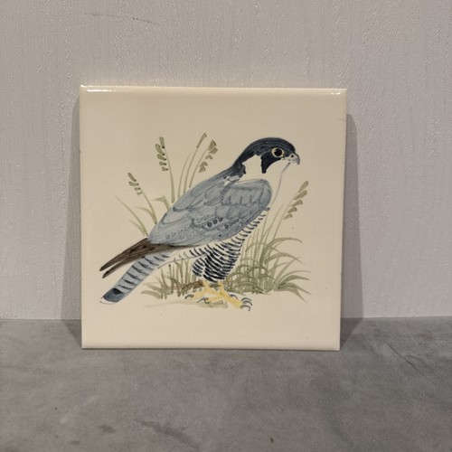 Vintage hand painted peregrine - hand,