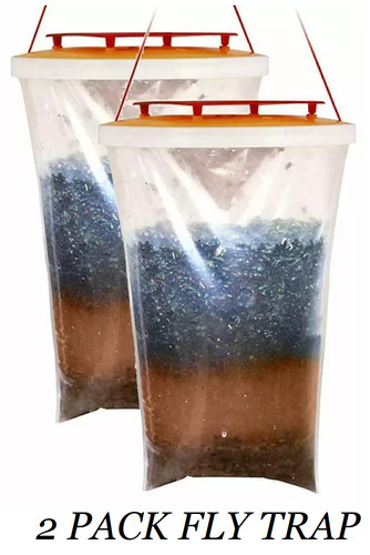 Pack insect fly - pack, trap