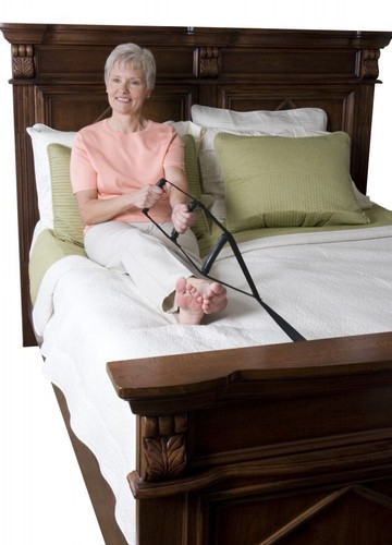Bed caddie assist - assist, ladder