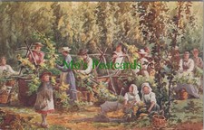 Occupations Postcard - Hop Garden, Picking The Hops SW8474