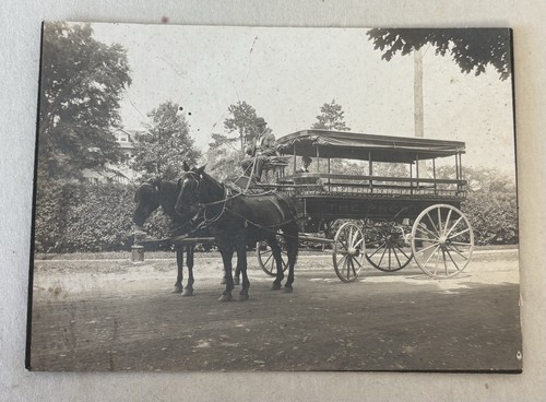 Antique boarded photo horse - antique,