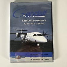 Gandalf airlines Cockpit Video