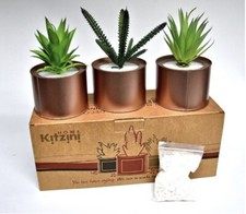 Set artificial succulent - of,