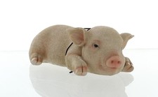 Vivid Arts Pet Pal Sleeping