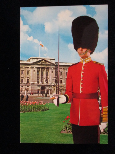 Grenadier guards ensign - grenadier,