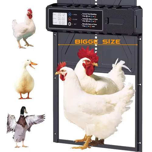 Aluminum auto chicken coop - auto,