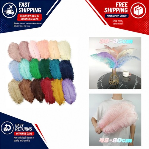 Colored ostrich feathers 10pcs - ostrich,