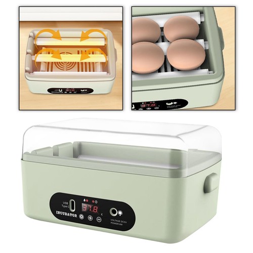 Egg incubator poultry - egg, incubator,
