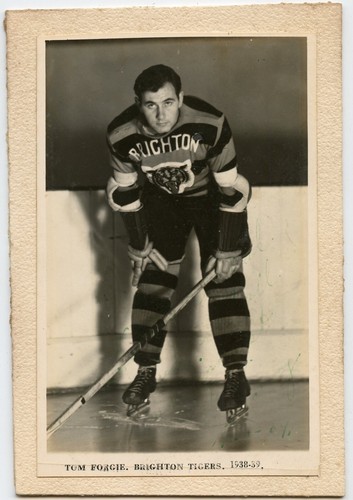 Tom forgie brighton - brighton, tigers
