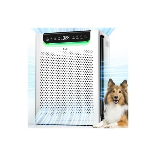 Large room air purifier - air, for