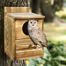 Large Handmade Wooden Owl