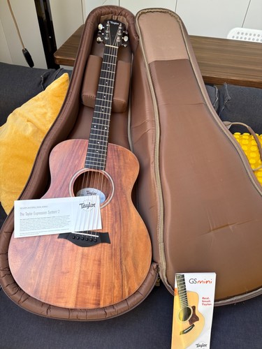 Taylor mini es2 - taylor, gs-mini