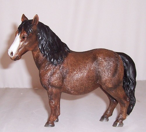 Leonardo brown shetland - leonardo,