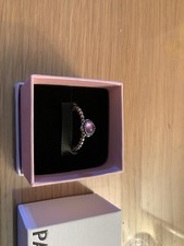 Pandora S925 Silver February