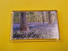 Fridge Magnet - Forest Of Dean