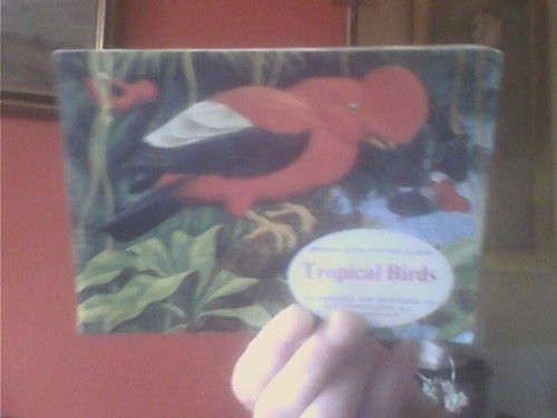 Brooke bond tropical birds - brooke,