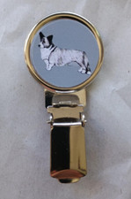 Cardigan welsh corgi dog show - cardigan,