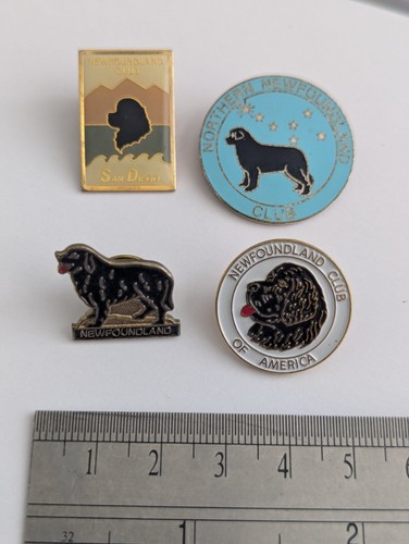 Newfoundland dog vintage - newfoundland,