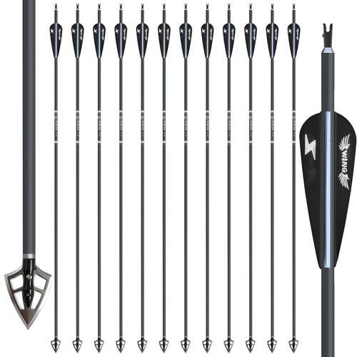 12pcs carbon arrows with - 12pcs,