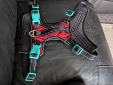 Dog Harness