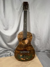 Supertone Parlor Guitar Hawaii