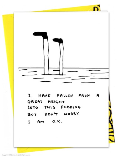 David shrigley birthday - david,