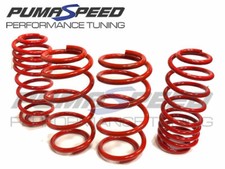 Pumaspeed Stance Lowering Springs Ford Fiesta ST Mk7 ST180/ST200