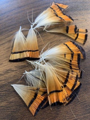 50pcs 4cm natural - natural, golden