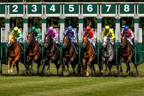 The smart stake horse - smart, racing