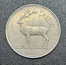 An IRISH 1990 PUNT £1 coin