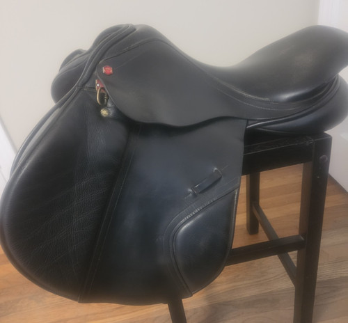 Medium black albion - medium,