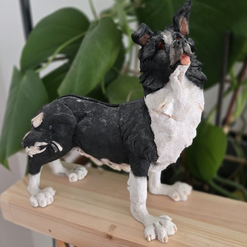Country artists border collie - country,