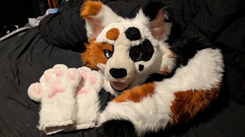 Calico fursuit partial - fursuit,