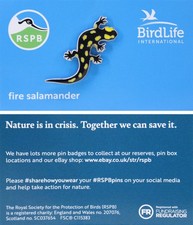 RSPB Pin Badge Bird Life International NIIC Fire Salamander P03213